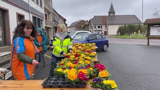 Ventes de primevères contre le cancer